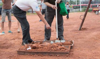 怎样进行土壤的采样与处理（土壤采样的基本原则）