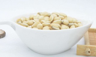 白扁豆的功效与作用 白扁豆的功效与作用禁忌