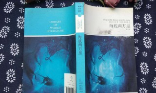 海底两万里第十九章主要内容（海底两万里第十九章主要内容100字）