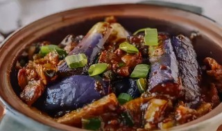 茄子和肉的做法大全 茄子肉的做法大全家常窍门