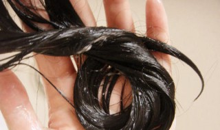 护发素和精华素的区别 护发素与精华素一样吗