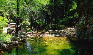 秦岭江山风景区怎么样（秦岭江山风景区怎么样啊）