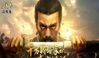 三国志战略版曹彰搭配（三国志战略版曹彰搭配整容）