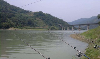 海杆怎样钓浮（海杆怎样钓浮漂什么定水位）