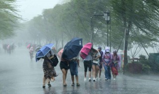 狂风暴雨是指春夏秋冬哪个季节（狂风暴雨是夏天还是冬天）