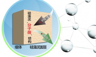 硅藻水怎么调 硅藻水怎么调配比