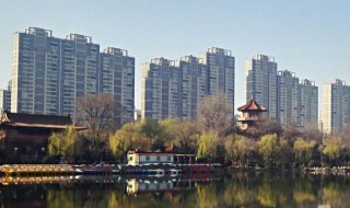山东地区庭院绿化用什么树种比较好 山东适合庭院栽种的绿植