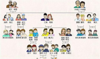 直系家属是指哪些啊 直系家属等于直系亲属?