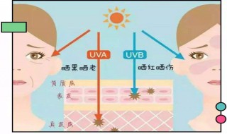 先擦防晒还是先擦隔离 先擦防晒还是先擦隔离呢