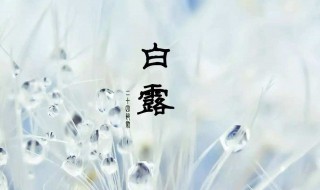 白露节气吃什么好（白露时节吃什么好）