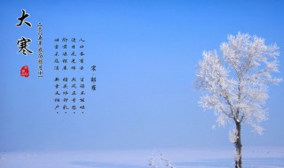 大寒节气吃哪些食物对身体好（大寒节气吃什么食物养生）