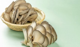 干草菇泡了几天可以吃吗 干菇泡了4天还能吃吗