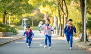 幼儿学成语接龙有何好处（幼儿学成语接龙有何好处呢）