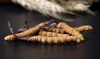冬虫夏草的作用与功效 冬虫夏草的作用与功效禁忌