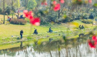 春季钓鱼早上好呢还是下午好（春季钓鱼早上好呢还是下午好钓）