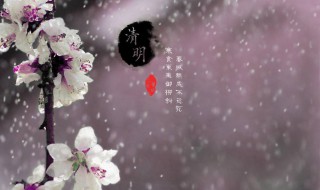 清明时节雨纷纷这首这个批注怎么做 清明时节雨纷纷怎么分段