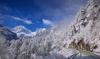 阿尔卑斯山南坡物种丰富的原因（阿尔卑斯山脉南北坡）