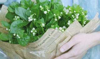 兔粪可以直接做花肥吗（兔粪 肥料）