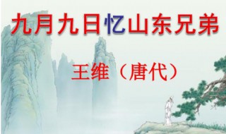 9月9日忆山东兄弟这首古诗是什么意思（9月9日忆山东兄弟 的意思）