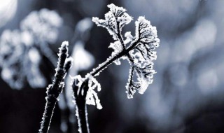 一年中最后一个季节是什么时候 一年中的最后一个节气是什么节气