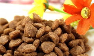 蔬菜肉铺狗粮怎么做（蔬菜狗粮有哪些）