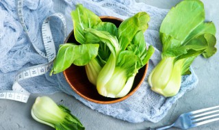 春季蔬菜 春季蔬菜种植时间