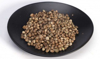 火麻仁的作用与功效 火麻仁的作用与功效与禁忌