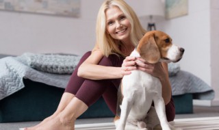 边牧犬吃鸡蛋黄有什么好处（边牧吃鸡蛋黄的好处）