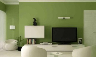 浅绿色应该搭配什么颜色（浅绿色搭配什么颜色最好看）