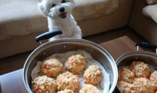 自制奶糕狗粮的方法（奶糕狗粮制作方法）