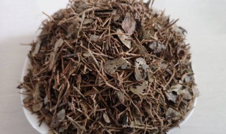 灯盏细辛的功效与作用 灯盏细辛的功效与作用的功能与主治