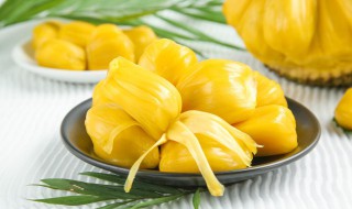 菠萝蜜是能冷冻保存吗（菠萝蜜能不能冷冻起来慢慢吃）