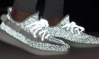 椰子满天星和天使的区别 椰子满天星和椰子天使的官网价格