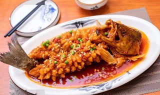 松鼠桂鱼的由来（松鼠桂鱼的由来英语介绍）