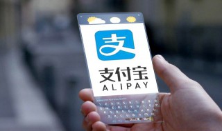 支付宝怎么看核酸检测报告（支付宝怎么看核酸检测报告单）