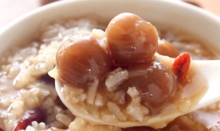 龙眼肉怎么做好吃（龙眼肉怎样做好吃）