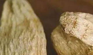 天麻吃法技巧 天麻吃法?