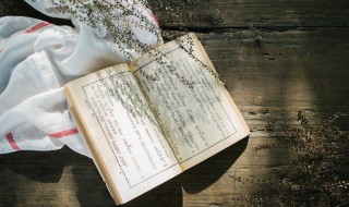 昨夜小楼又东风下一句 昨夜小楼又东风是啥意思