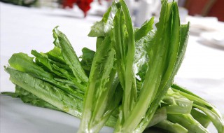 莴笋叶的功效与作用（莴笋的作用与功效）