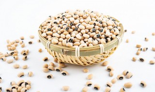 眉豆的功效与作用（眉豆的功效与作用图片）