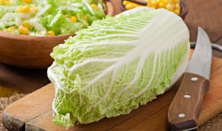 菜汤的做法大全（煮菜大全家常菜）