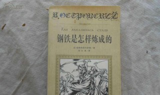 钢铁是怎样炼成的读后感300字（钢铁是怎样炼成的读后感200字）