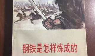 钢铁是怎样炼成的读后感600（钢铁是怎样炼成的读后感600字免费）