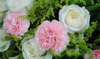 母亲节送花（母亲节送花的原因）