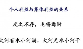 个人利益与集体利益的关系（个人利益与集体利益冲突时怎么办）