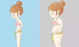 怎样减肚子（怎样减肚子快速减肥）