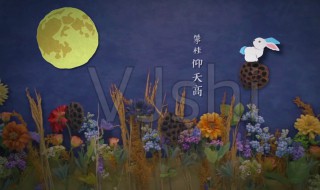 中秋节的诗句古诗大全 描写中秋节的诗句古诗大全