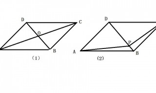 平行四边形对角线有几条（平行四边形的对角线是什么样的）