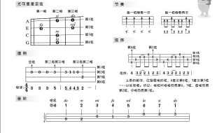 乐谱怎么看（乐谱怎么看拍子）