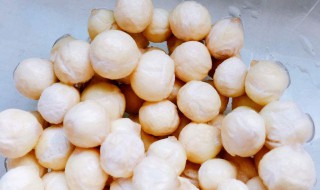 鸡头米怎么吃（鸡头米怎么吃最好）
